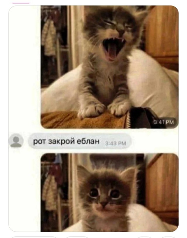 Жалуются на бояны местные.