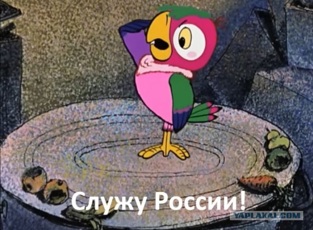 Попугай сорвал пуск первой австралийской ракеты
