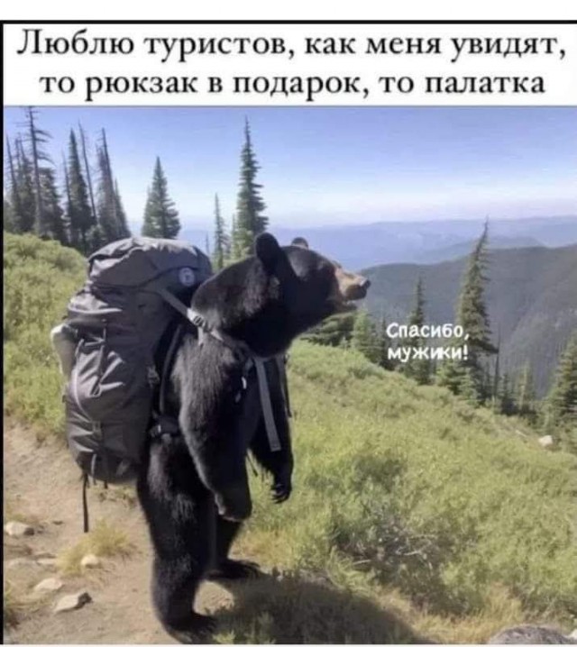 Картинки для деградации -2 (разной степени свежести)