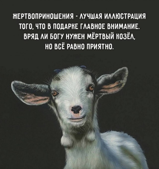 Веселое настроение в картинках (25.07.2025)