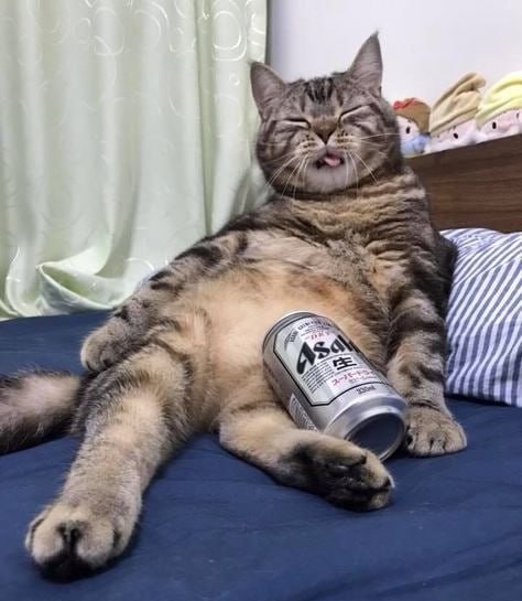 День похмелья отмечается сегодня