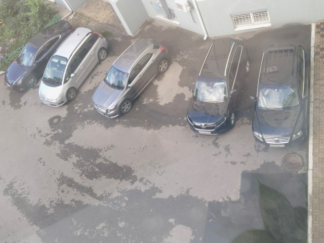 Угадайте половую принадлежность водительницы серого Мерседеса