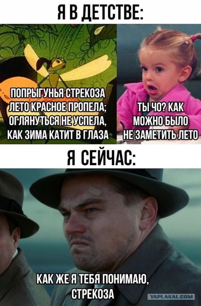 Веселые картинки в пятницу (15.08)