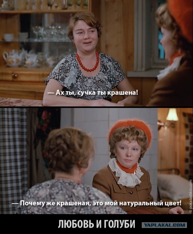 Роднина: «Большинство людей теперь не живет всю жизнь в коммуналке, а имеет возможность приобрести свое жилье, причем в достаточно молодом возрасте»