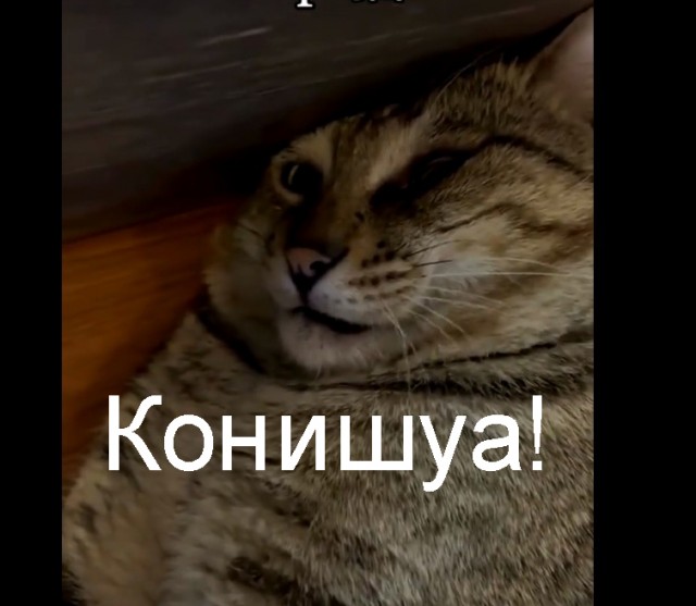 Кошка превращается, превращается кошка....
