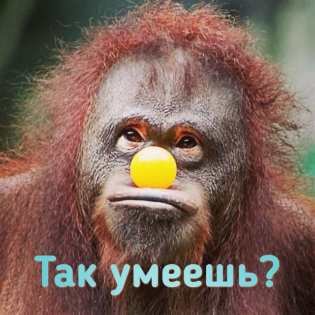 Маленькая пятница 19.11