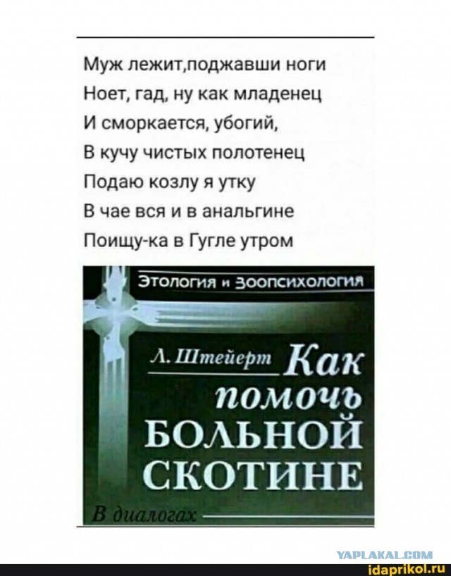 Учёные доказали, что при температуре 37,2 мужчинам действительно плохо