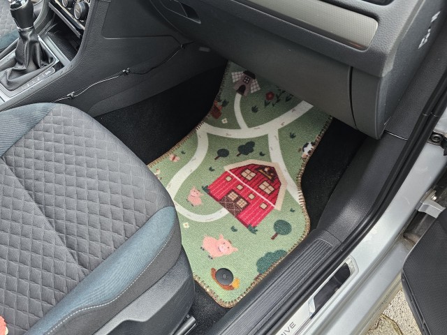 А не сшить ли мне новые коврики в машину?