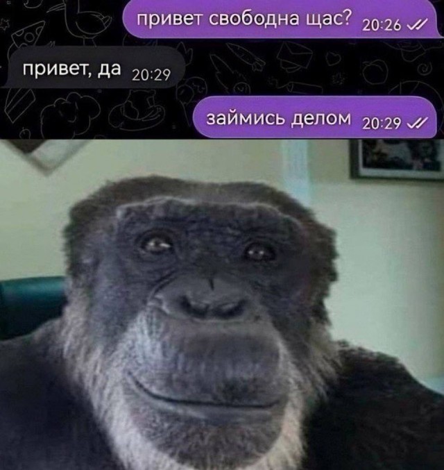 Веселые картинки в пятницу (06.03)