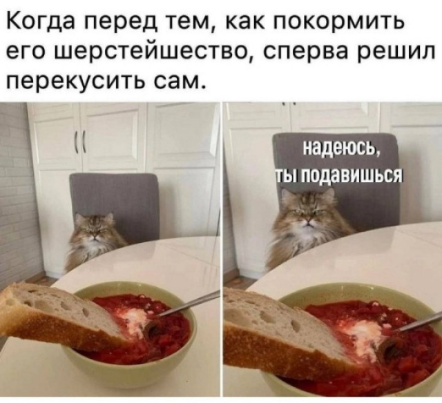 Воскресные картинки