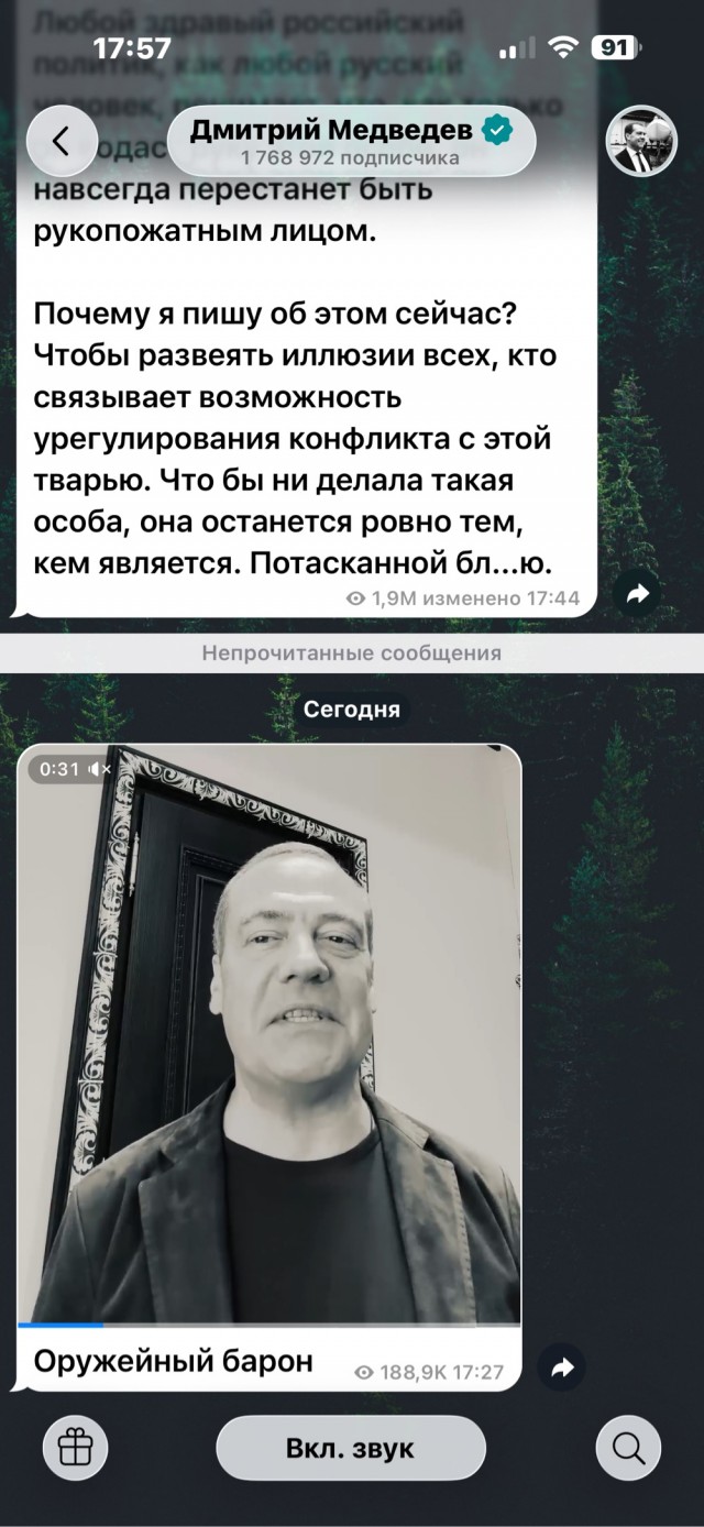 Медведев высказался