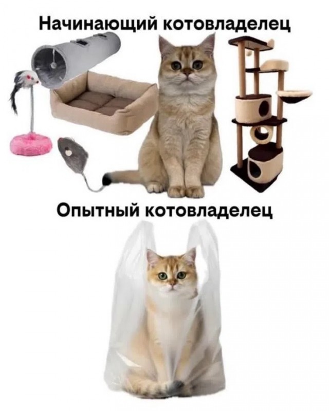 Среды картинки