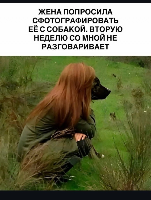 Веселые картинки в пятницу (15.05)