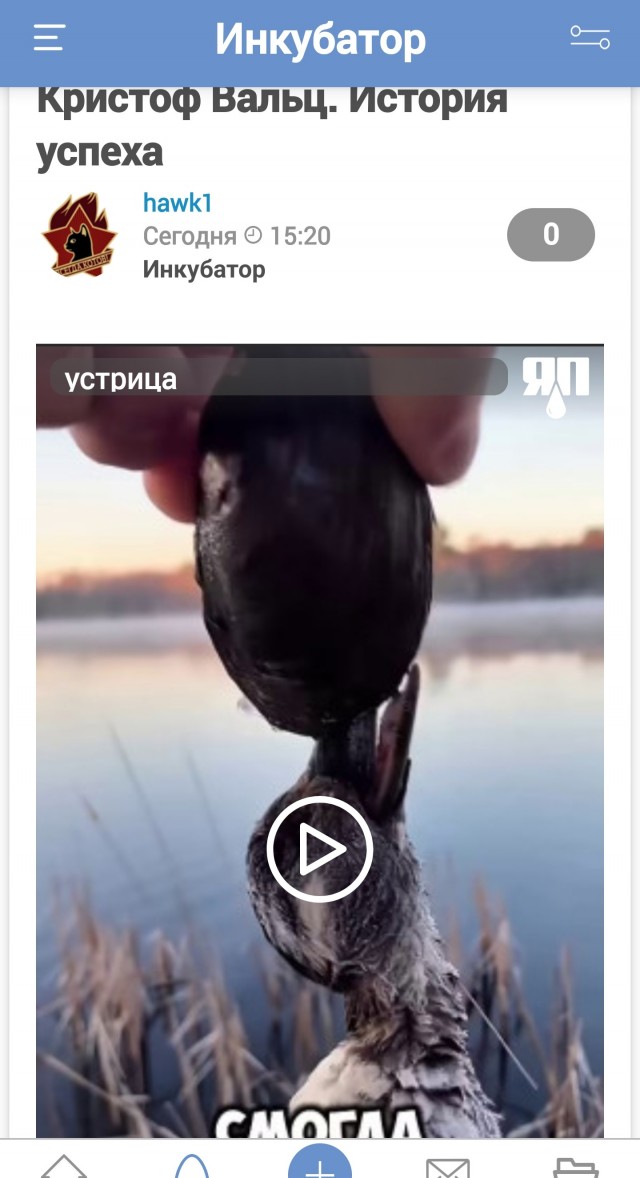 Кристоф Вальц. История успеха