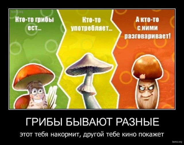 Картинки для деградации 230 (разной степени свежести)