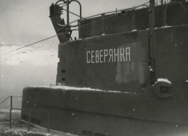 Подлодка, которая охотилась не за кораблями, а за сельдью