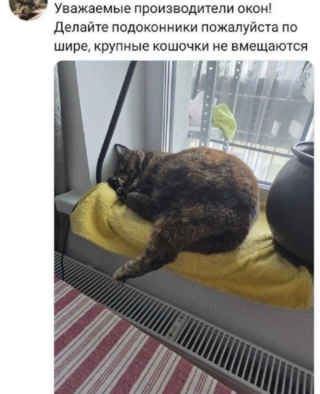 Так себе картинки 28.10.26