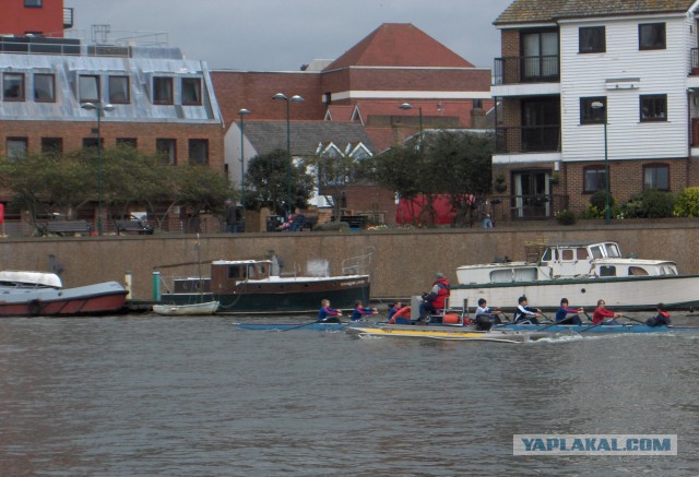 Как я в Англии практику проходил.