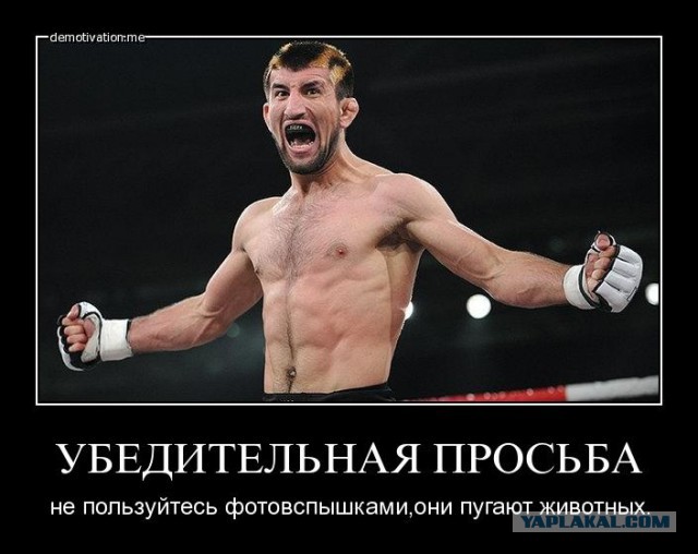 Суд признал виновным авиадебошира Кабалова