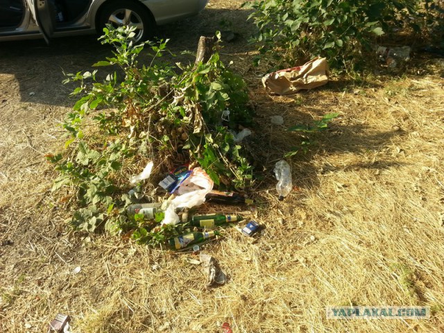 Как провести день, или сказка наяву!