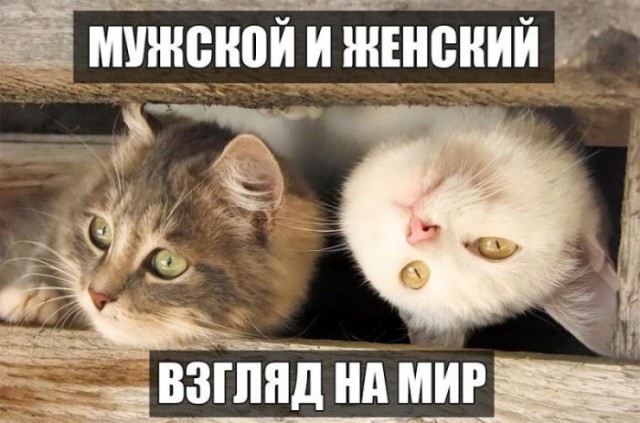 Так...солянка