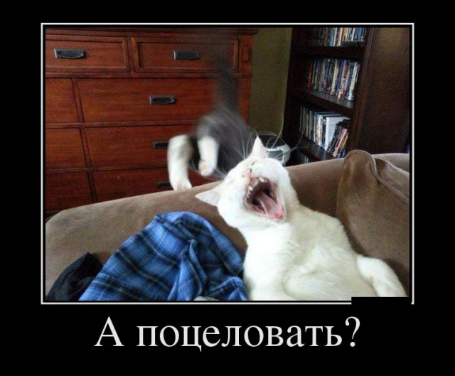 Очередная подборка коментов