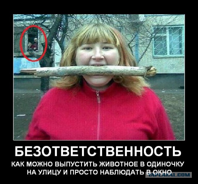 Вестники соц-сетей,четкость,крепыши и т.д.