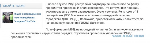 Полиция отмечает Новый год