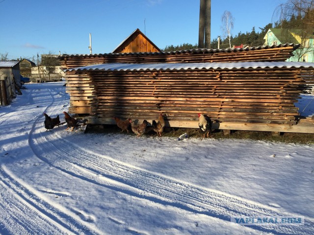 Новогодние каникулы за 1300 километров от Москвы