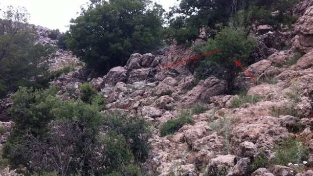 Сколько солдат на фотографии?