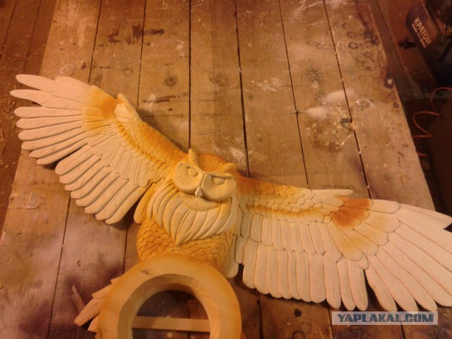 Как нарисовать сову