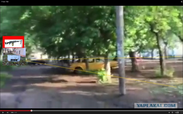 На этом видео вы видите стадо баранов.