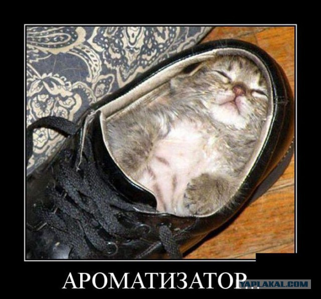 Подборка демотиваторов