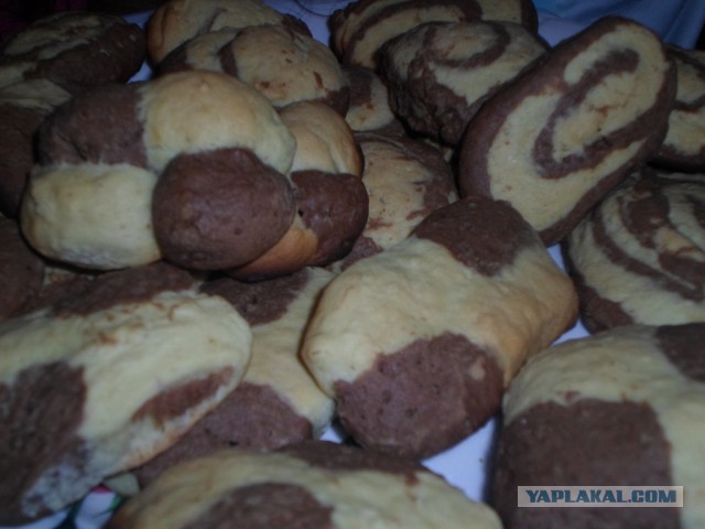 Печенье «Бабочки и клеточки»