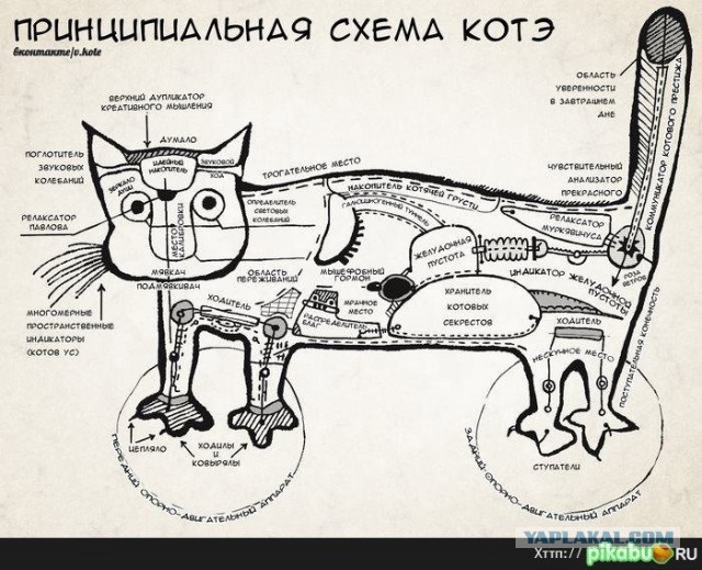 Вот я и нашел себе хозяина