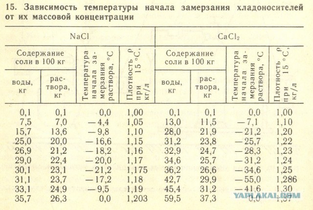 Восемь загадок, разгаданных учеными