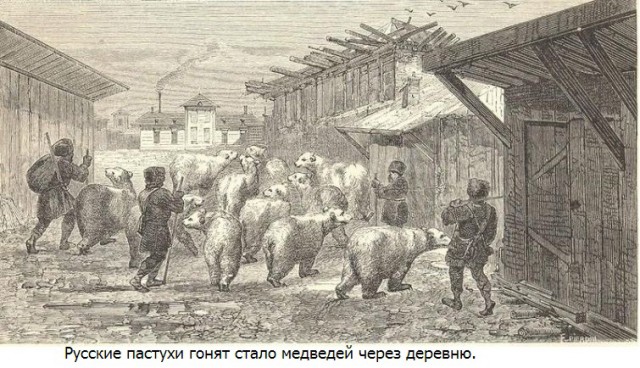 Мега-ватный портал ЯПлакалъ или возвращение Крыма