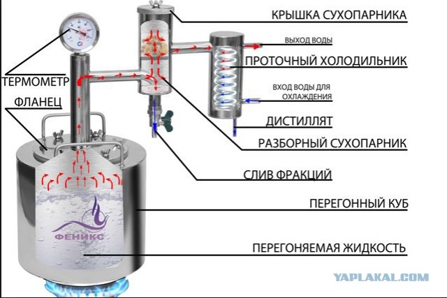 Россияне теряют интерес к алкоголю