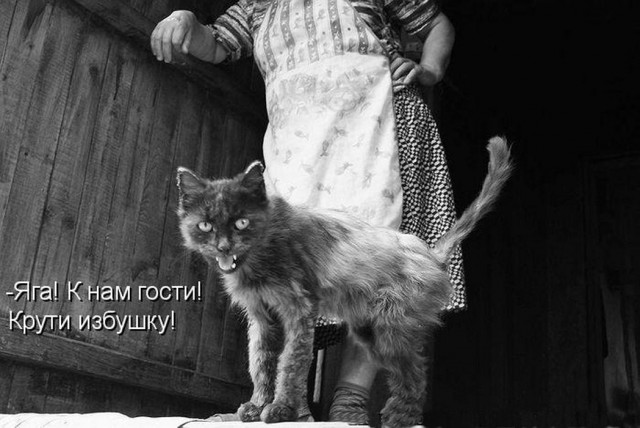 Картинки из инета