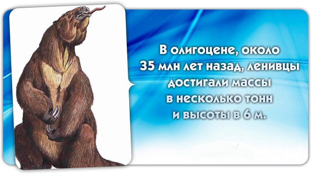 56 неожиданных фактов о большинстве которых вы не знали.