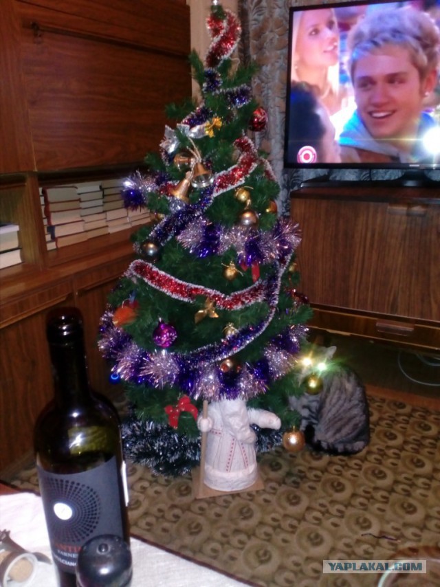 Котовторник 9.01.2018