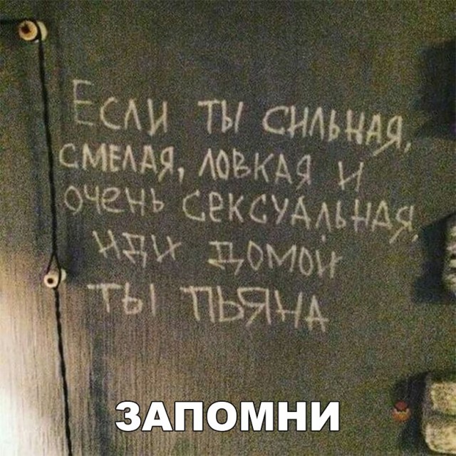 Прикольные картинки обо всём