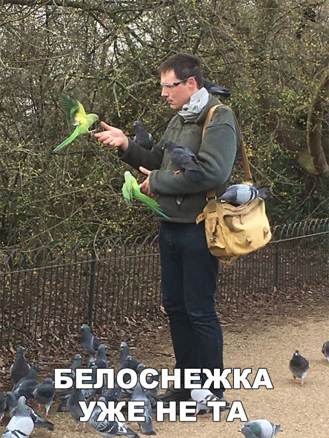 Нестандартный юмор
