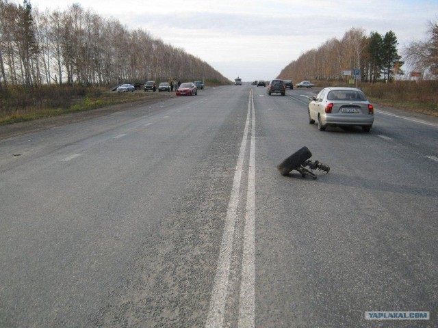Круз откинул копыта