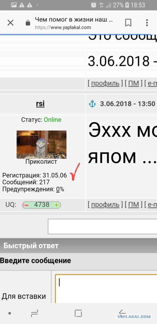 Чем помог в жизни наш виртуальный ЯП