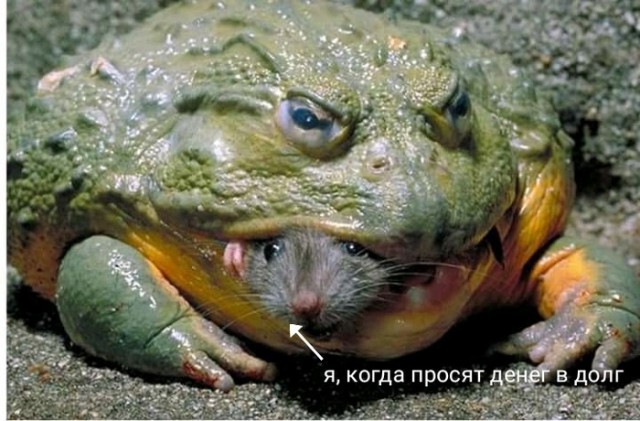Немного картинок в этот субботний вечр