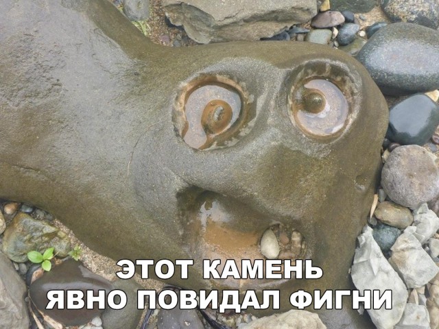 Прикольные картинки абавсём
