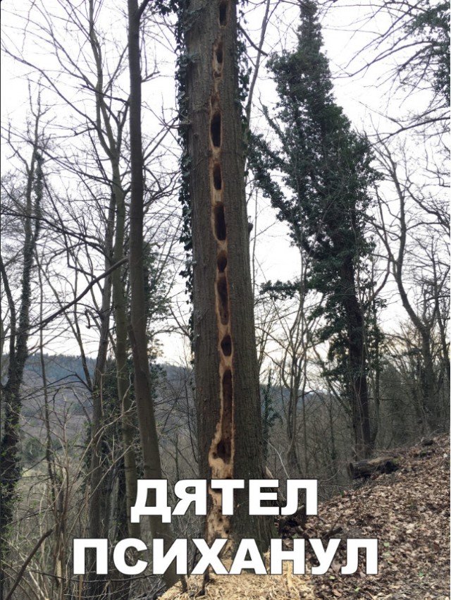 Нестандартный юмор