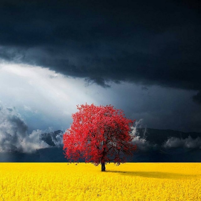Просто 45 фоток