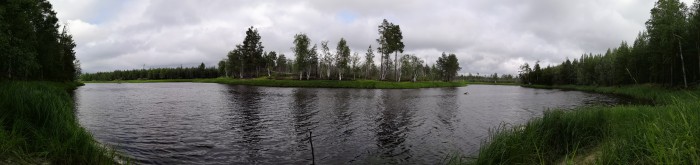Видео: Митинг за честные выборы в Мосгордуму: столкновения с ОМОНом и задержания в центре